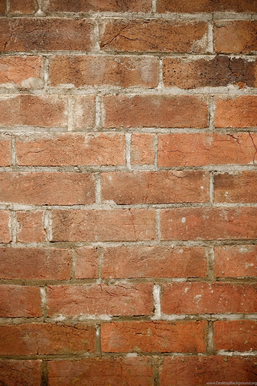 Two Brick Wall Texture Backgrounds In Portrait Format