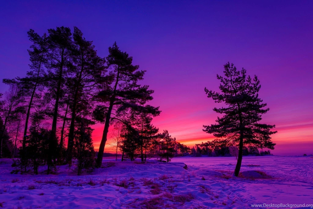Winter Sunset Desktop Wallpapers HD Wallpaper Backgrounds Of ...
