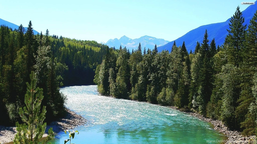 River Wallpaper 4.jpg