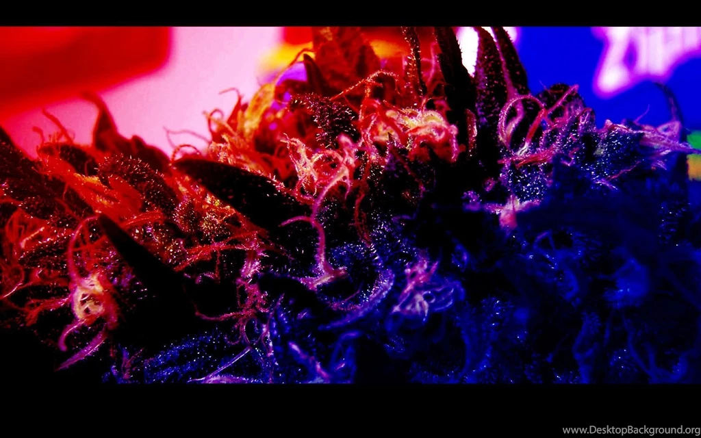 HD Trippy Backgrounds