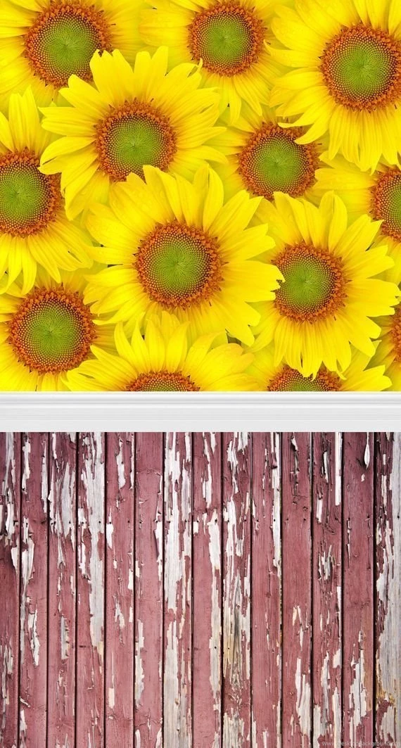 Online Get Cheap Sunflower Backgrounds Aliexpress.com