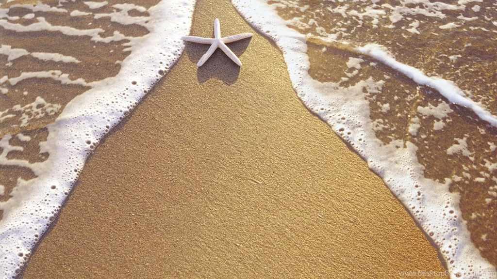 Christmas Vacation Wallpapers 2015 Grasscloth Wallpapers