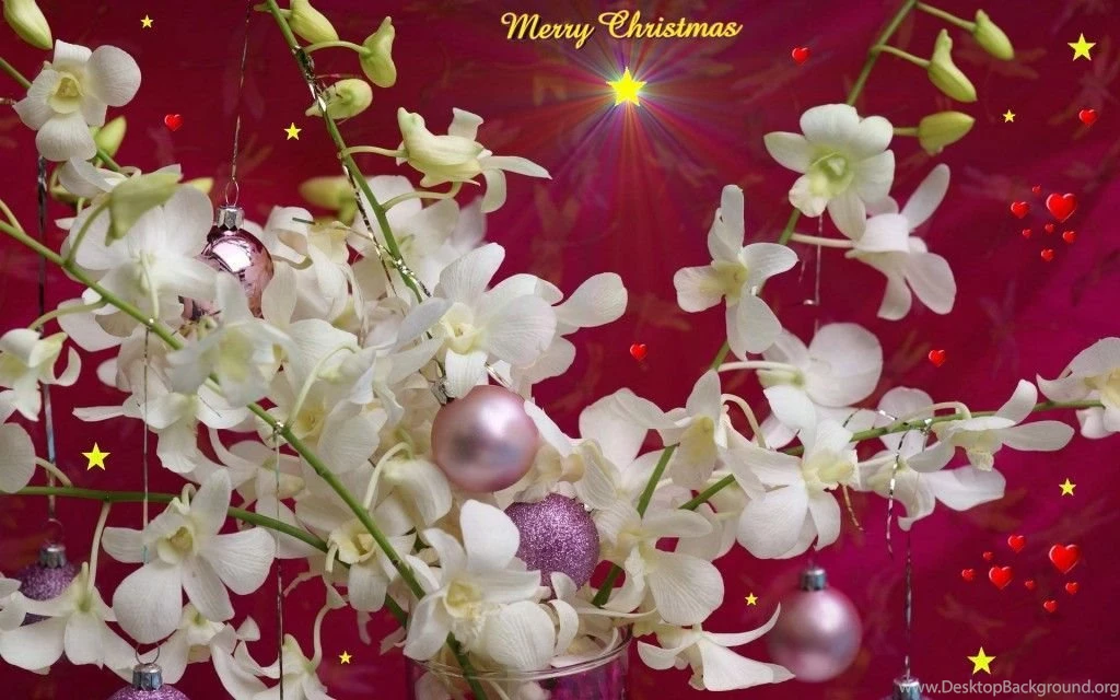 Free Laptop Wallpapers Download_hd Wallpaper_download Free Wallpapers