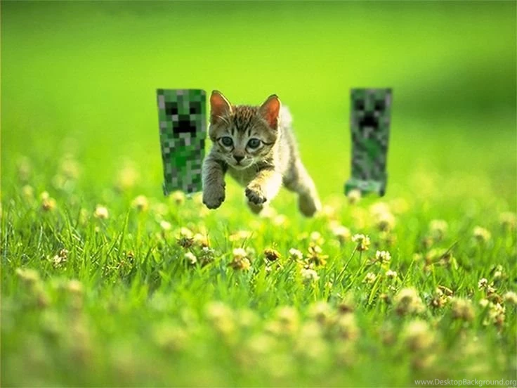 Minecraft Wallpapers 2ca Wallpapers Six