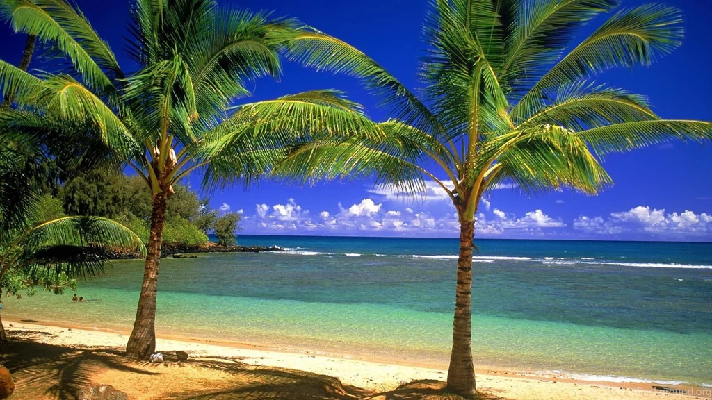 Beach HD Wallpapers For Stunning Background! Bliz Pix