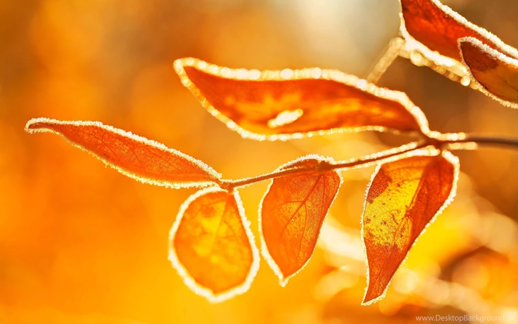 Ubuntu 13.04 Winning Wallpapers Revealed OMG! Ubuntu!