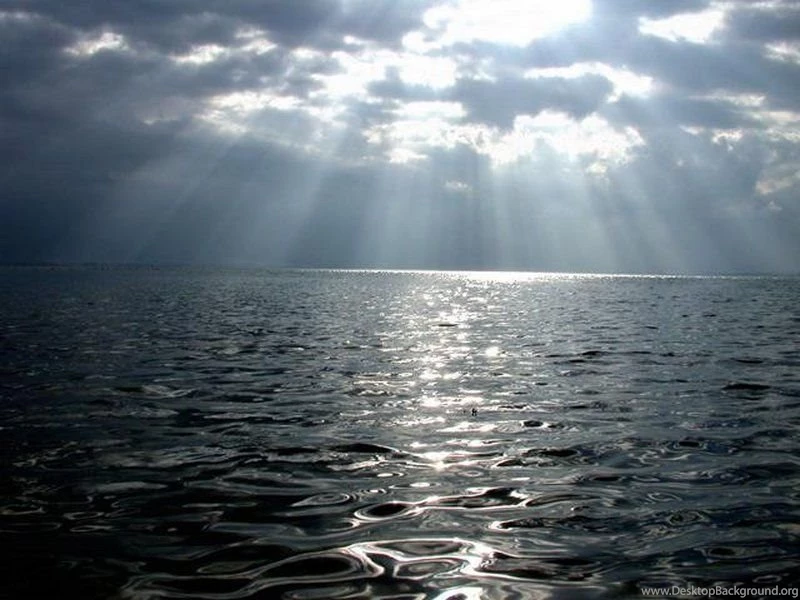 Fishing Wallpapers