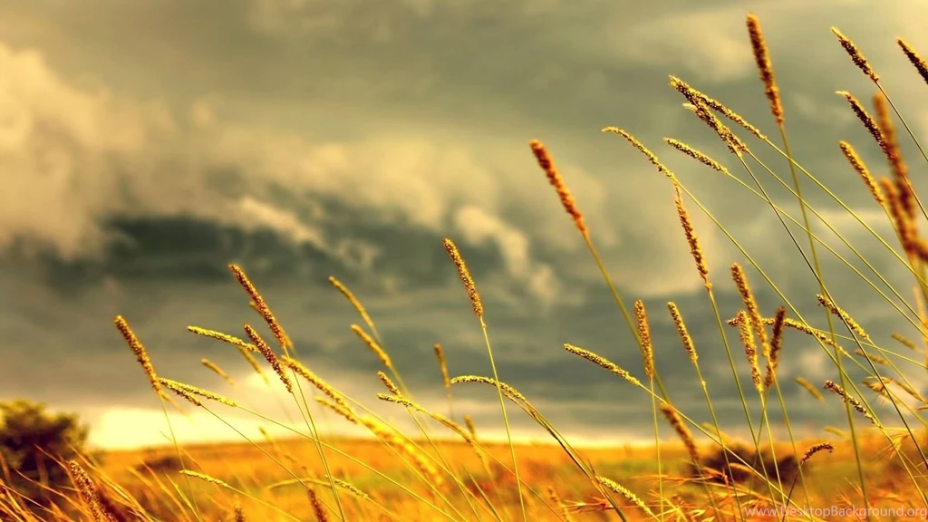 Nature HD Wallpapers