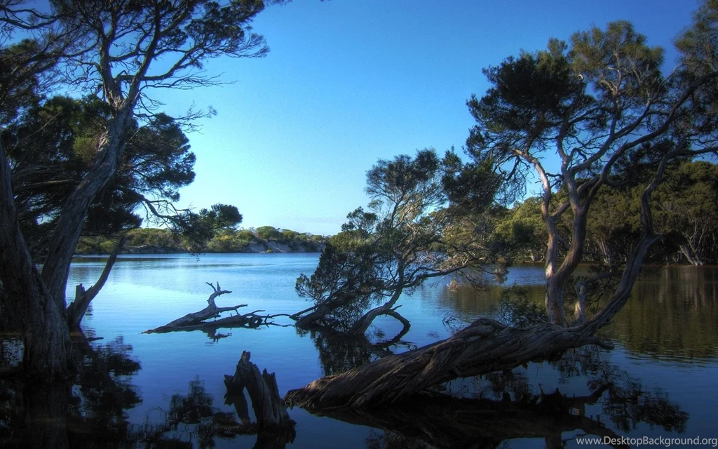 Widescreen Wallpapers Download_hd Wallpaper_download Free Wallpapers