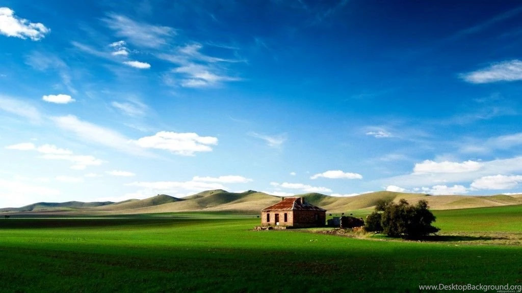 New Year Wallpapers Widescreen