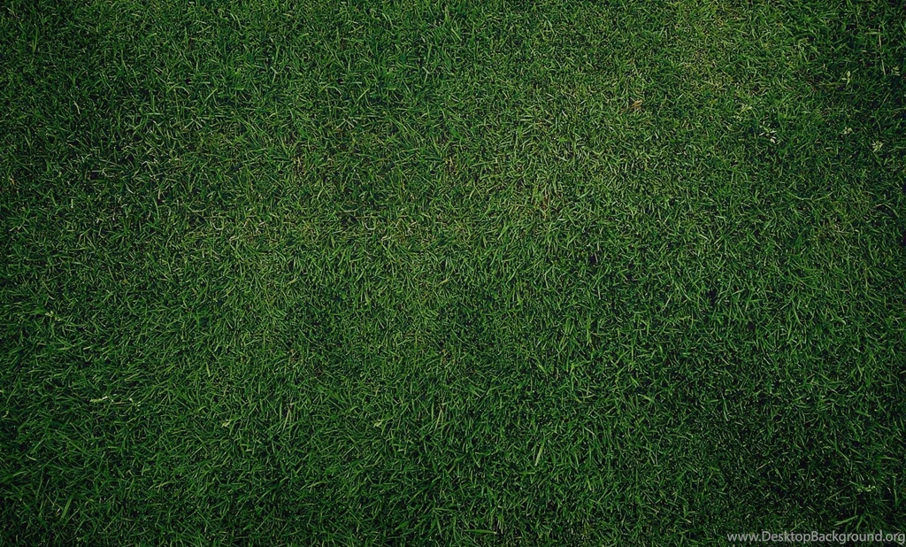 Download Dark Green Grass Texture And High Resolution Wallpapers ...