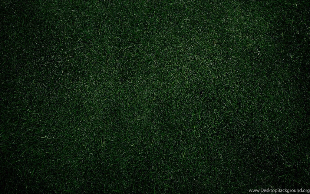 Plain Dark Green Grass, 1920x1200 HD Wallpapers And FREE Stock Photo