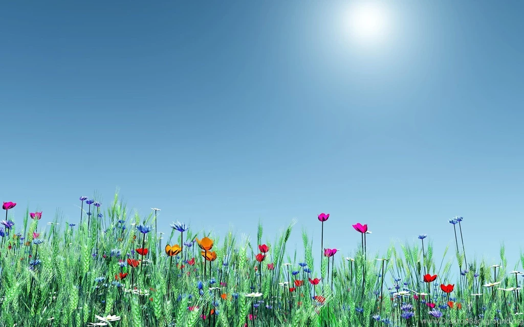 Spring Flowers Wallpapers