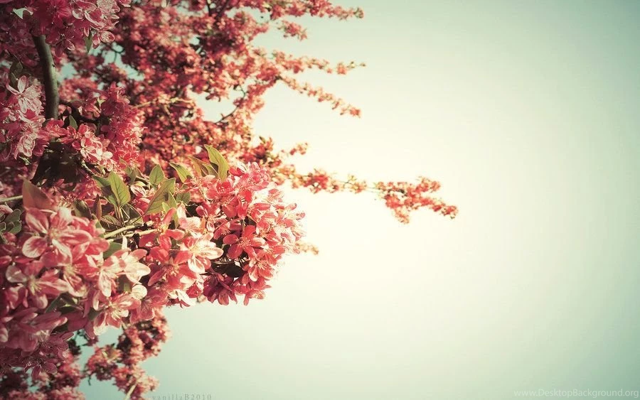 Springtime Wallpapers By Vanerich On DeviantArt