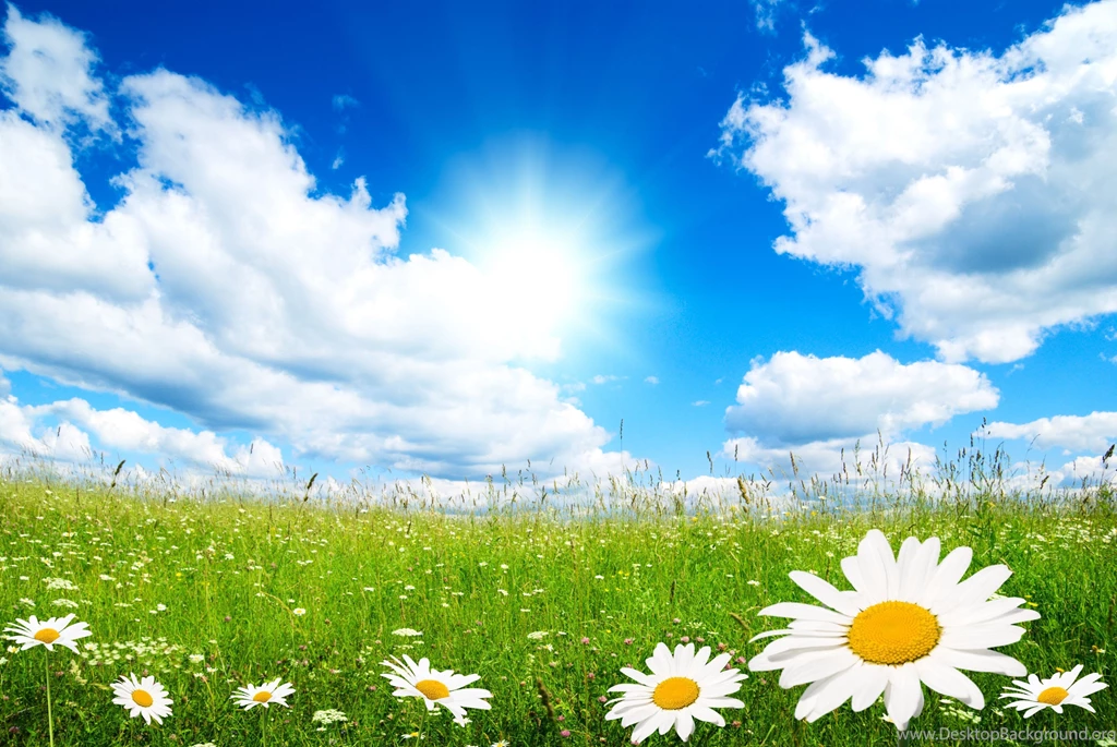 Free Springtime HD Screensavers And Wallpapers Photos Of Enjoy The ...