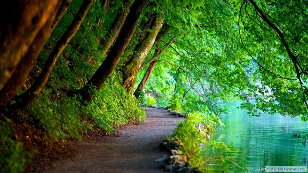 Free Online Desktop Backgrounds