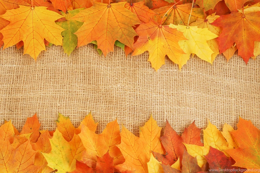 Stack Of Autumn Leaves