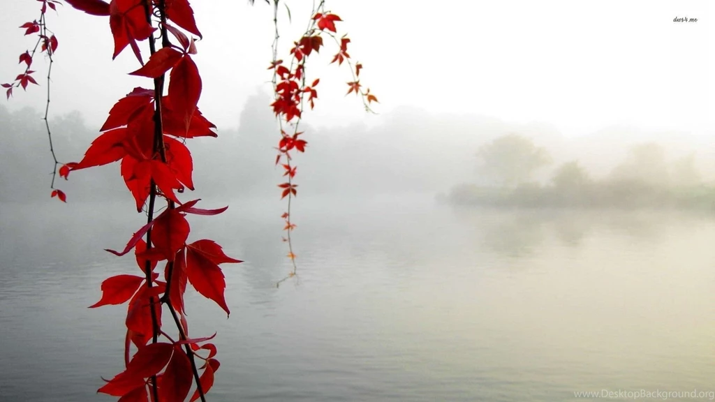 Autumn Leaves Over The Lake Wallpapers Photography Wallpapers ...