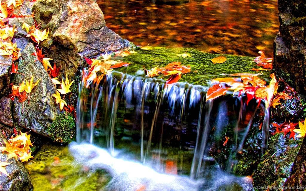 Love With Quotes HD Wallpapers Widescreen