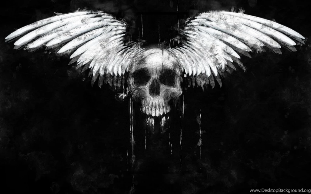 3D Skull HD Wallpapers5.jpg