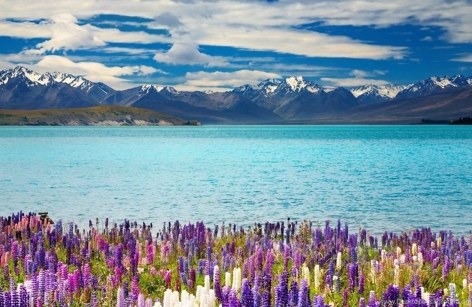 New Zealand Lake Tekapo 4K Ultra HD Wallpapers