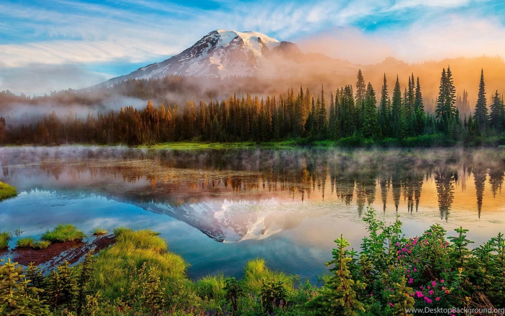 New Zealand Nature 1920x1200px