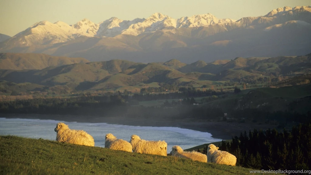 Top New Zealand 1920x1080 Wallpaper Images For Pinterest