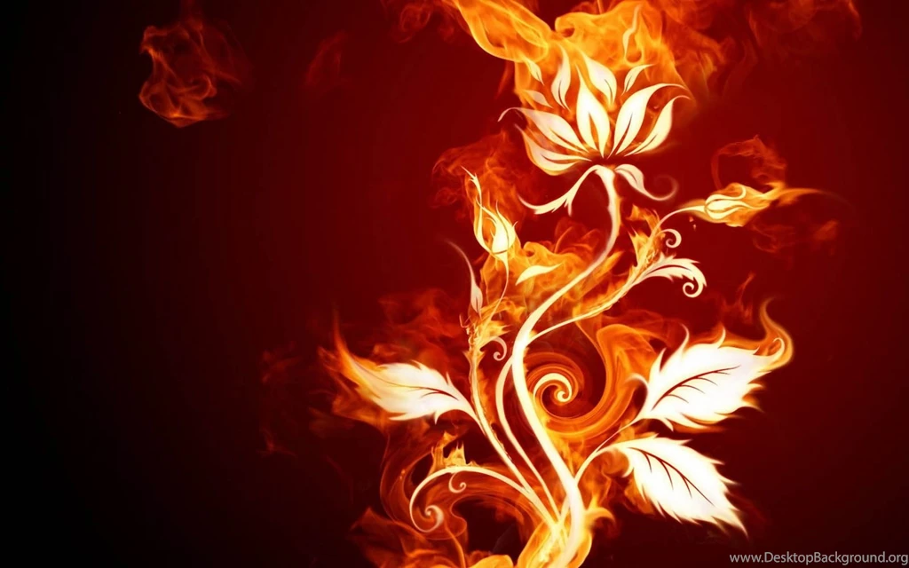 Wallpaper: Designed Abstract Wallpapers