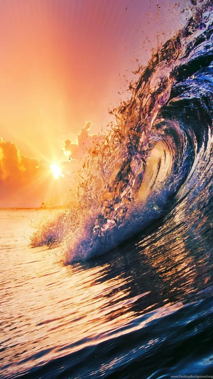 Golden Surfing Wave Sunset iPhone 6 Wallpapers