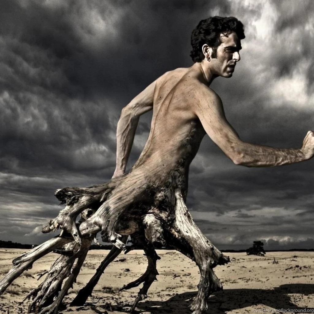 How Weird Are WEIRD People?