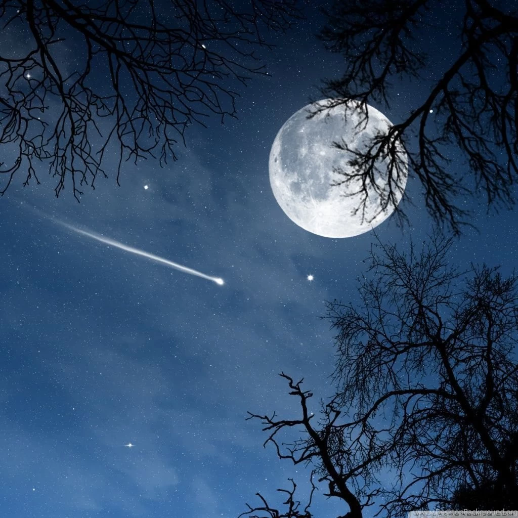 Shooting Star HD Desktop Wallpapers : High Definition : Fullscreen ...