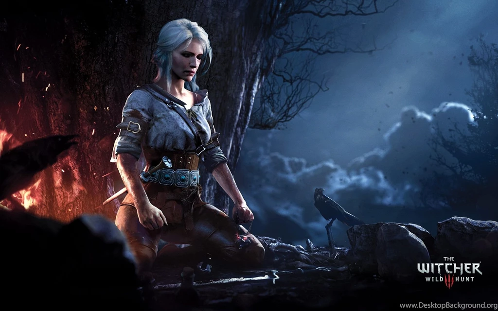 The Witcher 3: Wild Hunt Wallpapers HD Gallery