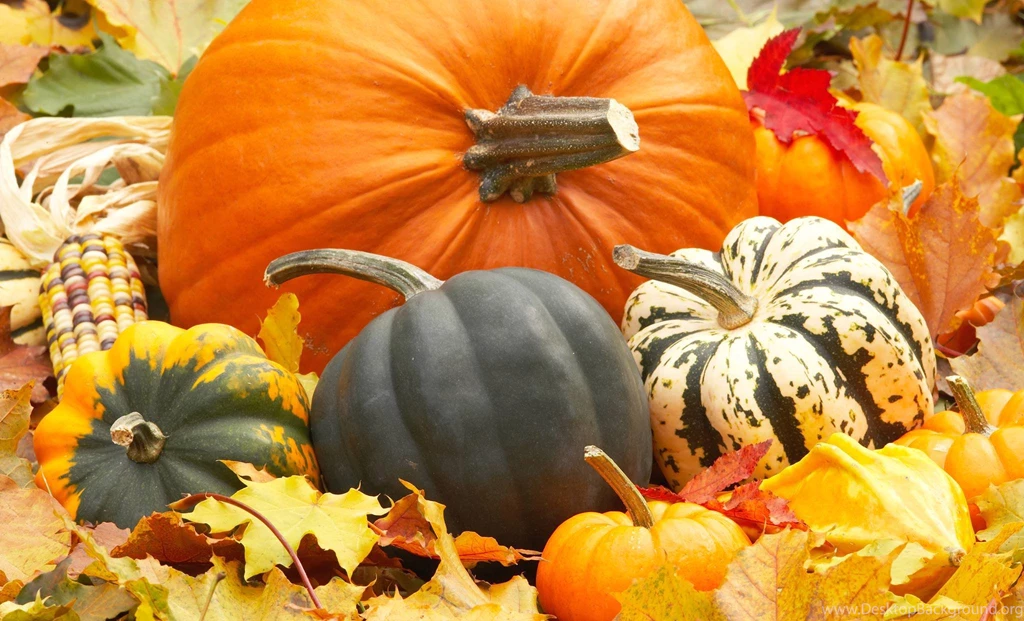 Fall Leaves And Pumpkin Wallpapers