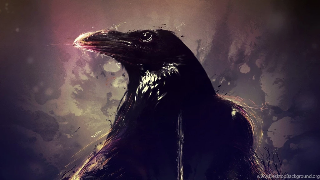 Crow   Wallpaper.