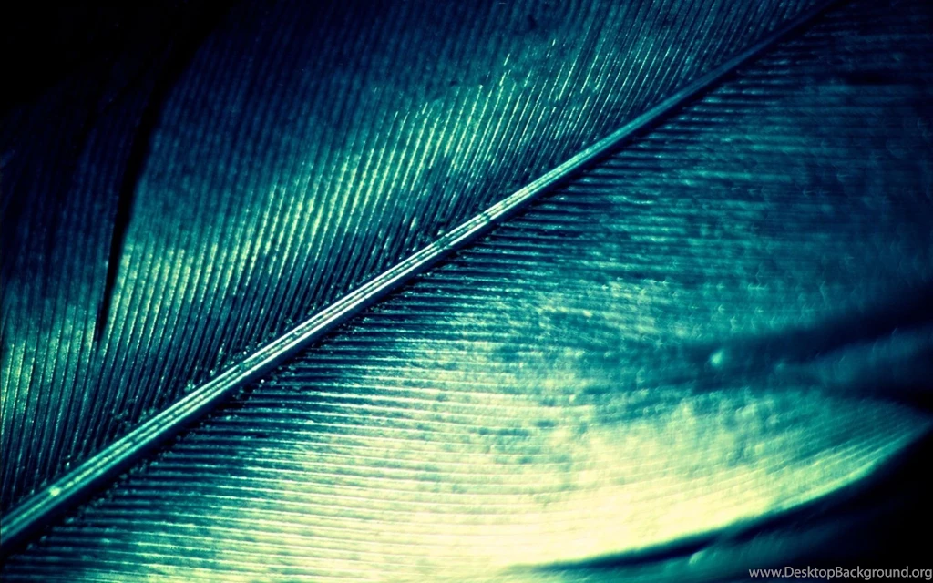 Feather HD Wallpapers