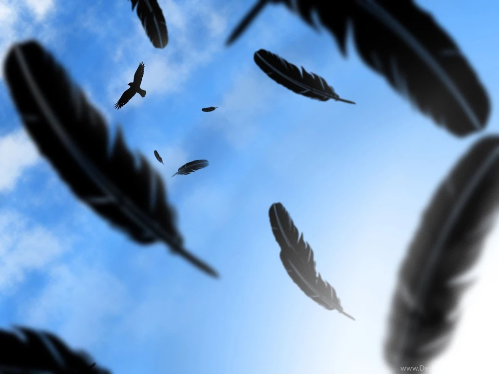 Crow Bird Wallpapers