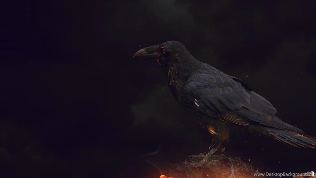 Wallpapers Dark Crow By Nablo92 On DeviantArt