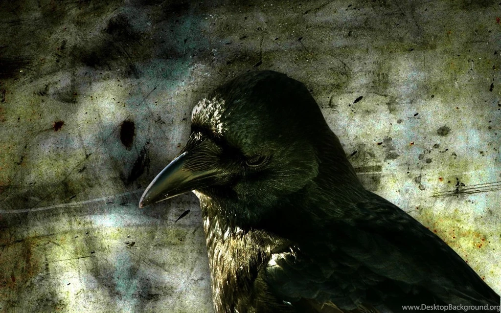 29 The Crow HD Wallpapers