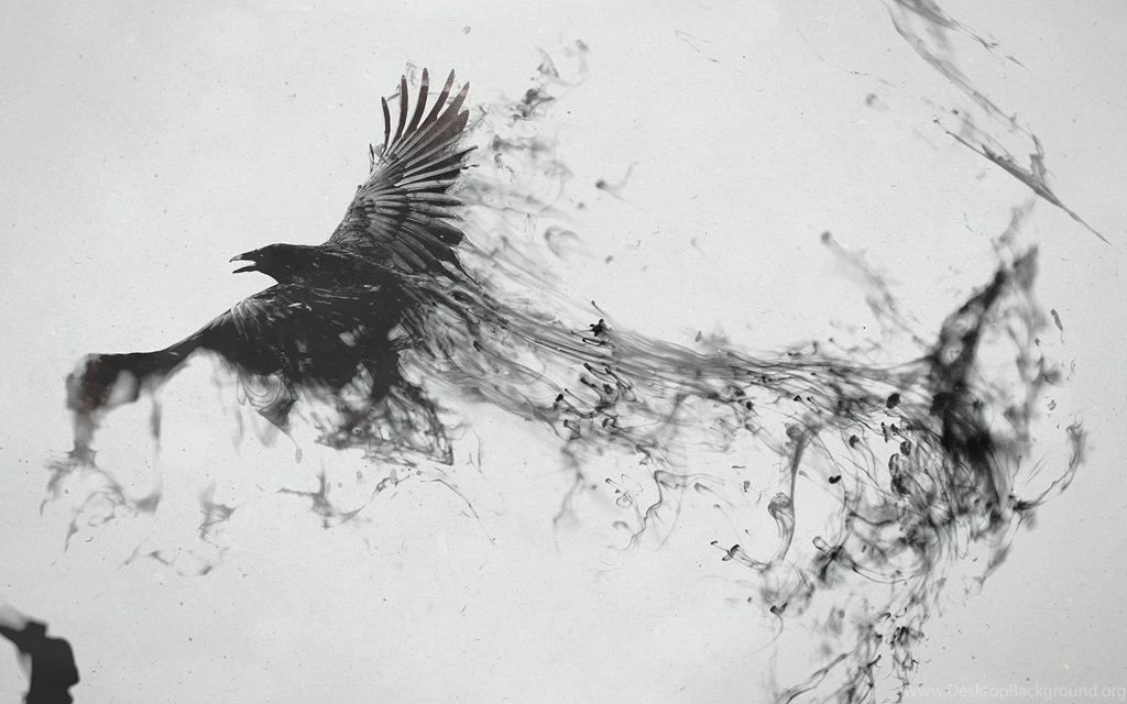 Crow Wallpapers