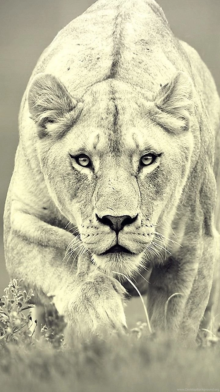 25 Wallpapers Para El Samsung Galaxy S3 – BLOGERIN