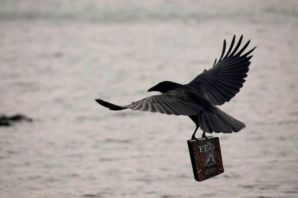 Crow HD Photos