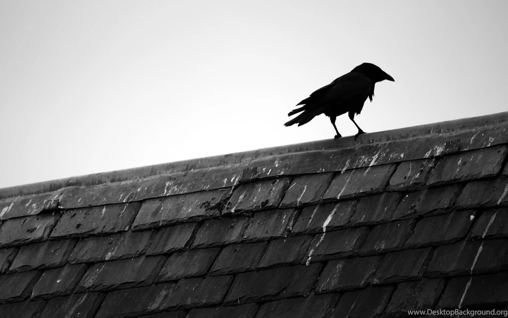 The Crow Computer Wallpapers, Desktop Backgrounds