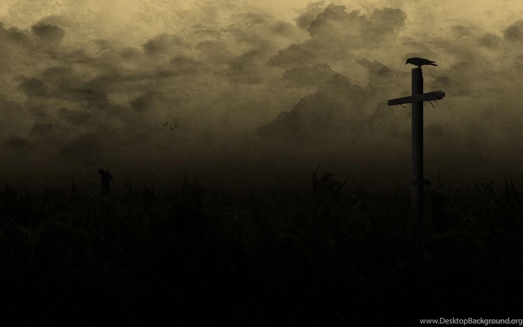 Crow Computer Wallpapers, Desktop Backgrounds