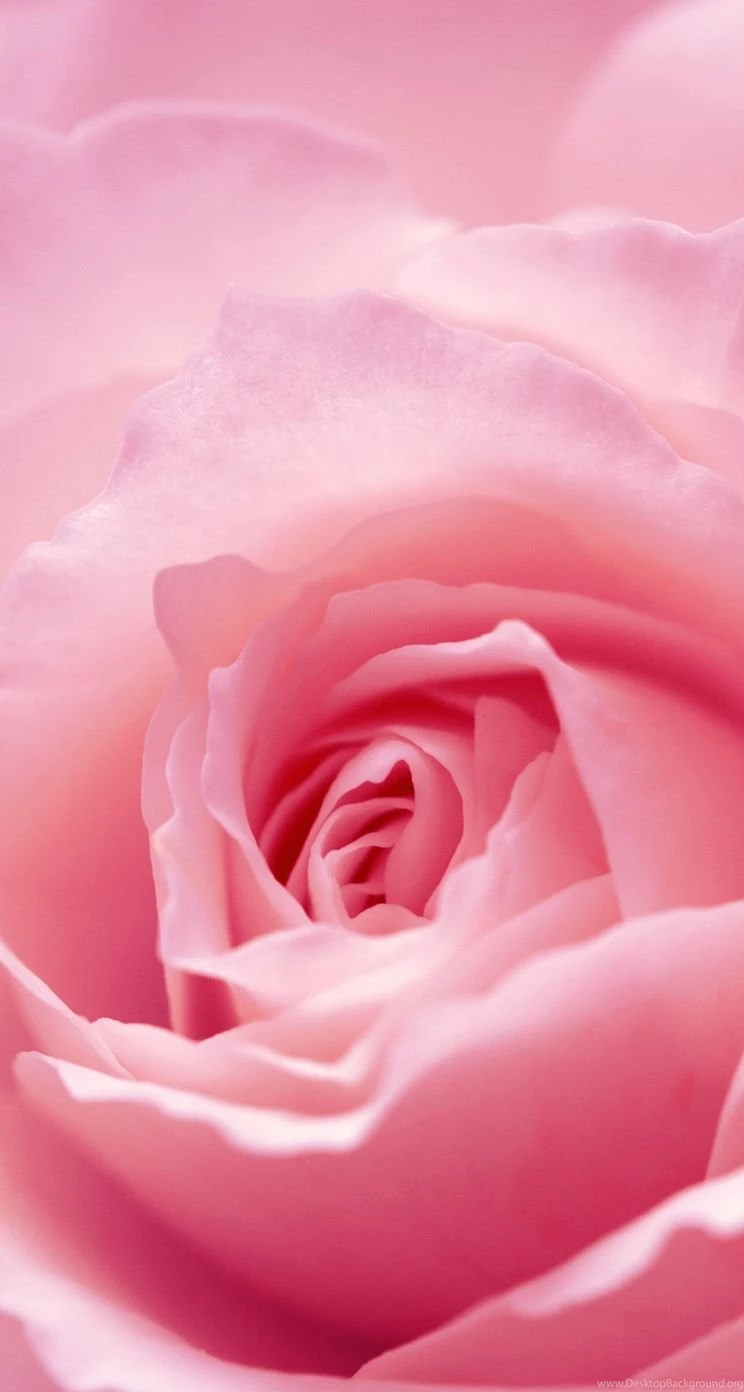 Close up iPhone 5s Wallpapers