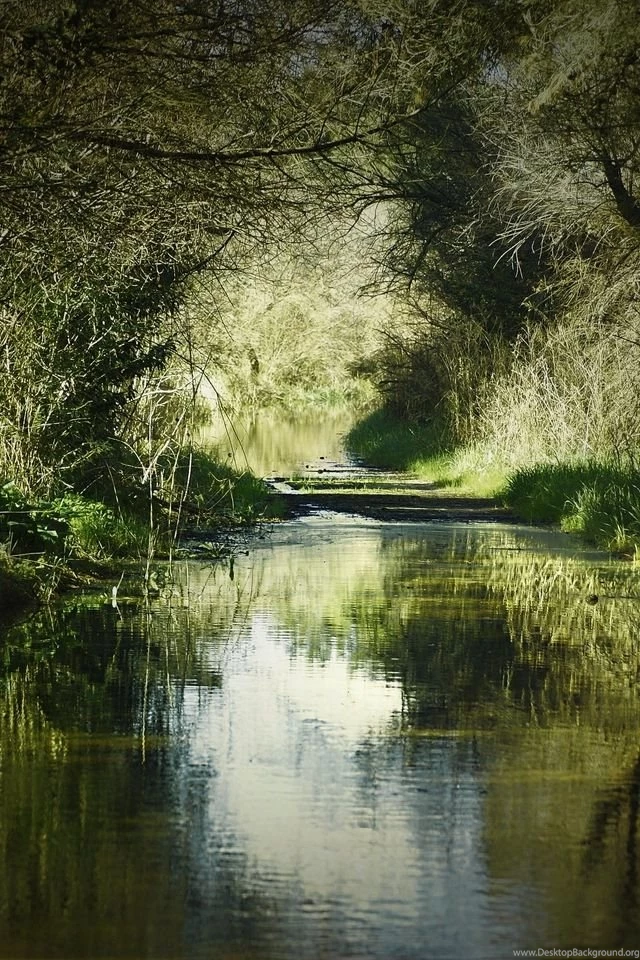 Nature iPhone 5 Wallpapers HD 10.jpg