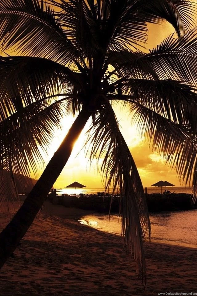 iPhone 4 Nature Wallpapers Set 2 12
