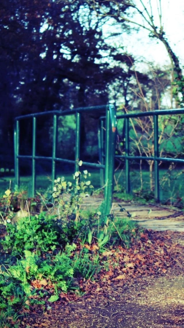 Nature 47 iPhone 5s Wallpapers Download