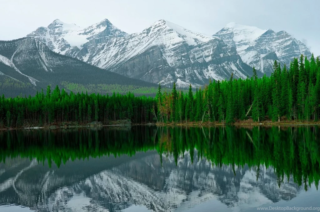 Hd Nature Wallpapers, Amazing Landscape Images, Sky, Green, Nature ...