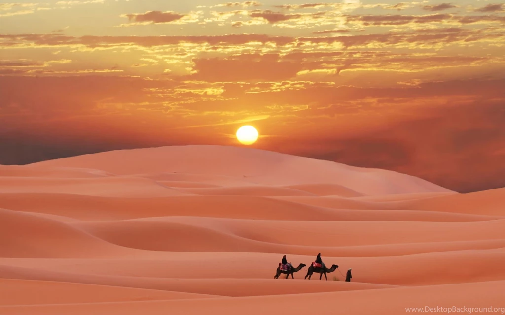 395 Desert HD Wallpapers