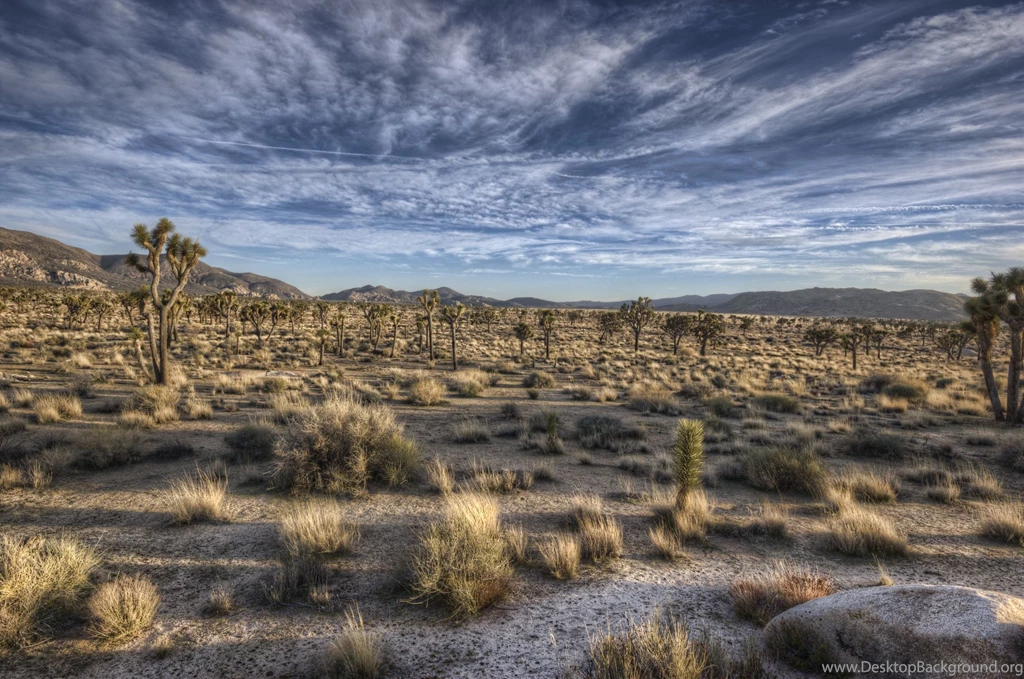 Locations Desert Wallpaper Backgrounds